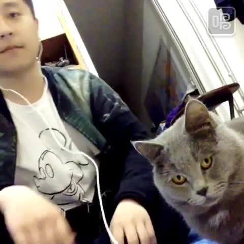 #唱吧MV#来听听我唱的《停格【男版钢琴】》