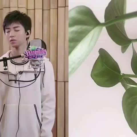 唱吧mv