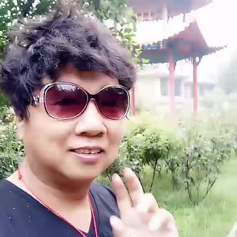 豫剧《朝阳沟》俺外甥在部队给我来信(伴奏)【马琳】-老怪_1993